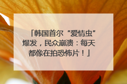 韩国首尔“爱情虫”爆发，民众崩溃：每天都像在拍恐怖片！