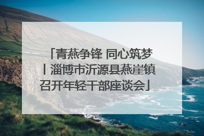 青燕争锋 同心筑梦丨淄博市沂源县燕崖镇召开年轻干部座谈会