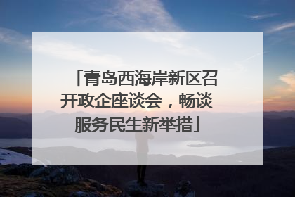 青岛西海岸新区召开政企座谈会，畅谈服务民生新举措