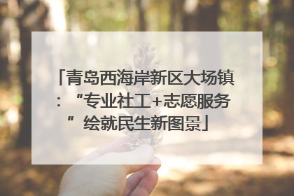 青岛西海岸新区大场镇：“专业社工+志愿服务”绘就民生新图景