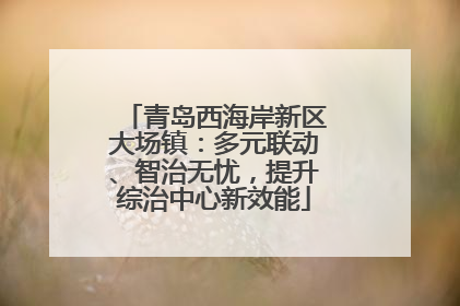 青岛西海岸新区大场镇：多元联动、智治无忧，提升综治中心新效能