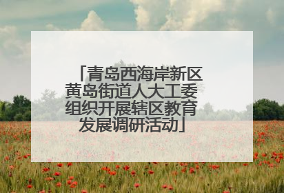 青岛西海岸新区黄岛街道人大工委组织开展辖区教育发展调研活动