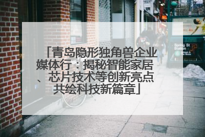 青岛隐形独角兽企业媒体行：揭秘智能家居、芯片技术等创新亮点 共绘科技新篇章