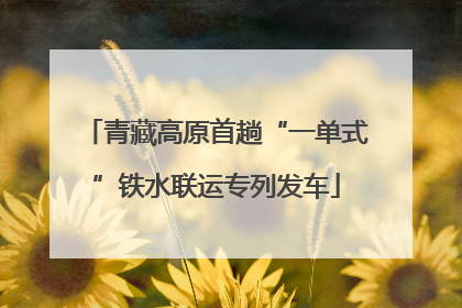 青藏高原首趟“一单式”铁水联运专列发车