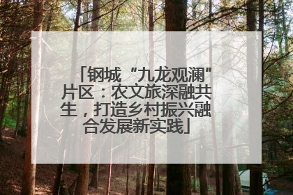 钢城“九龙观澜”片区：农文旅深融共生，打造乡村振兴融合发展新实践