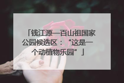 钱江源—百山祖国家公园候选区：“这是一个动植物乐园”