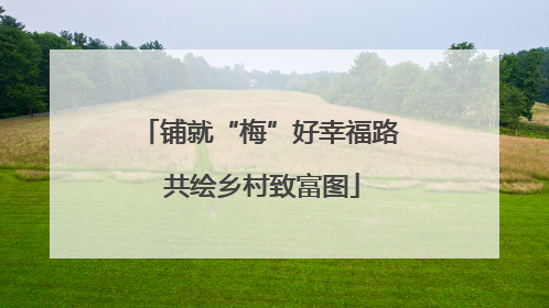 铺就“梅”好幸福路 共绘乡村致富图