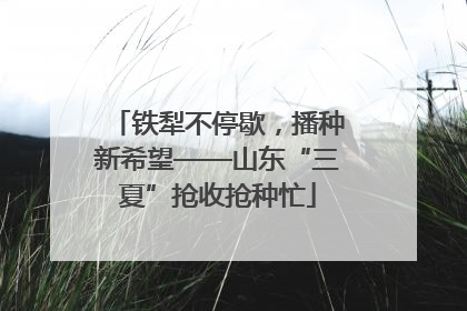 铁犁不停歇，播种新希望——山东“三夏”抢收抢种忙