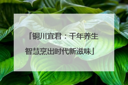 铜川宜君：千年养生智慧烹出时代新滋味
