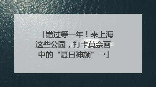 错过等一年！来上海这些公园，打卡莫奈画中的“夏日神颜”→