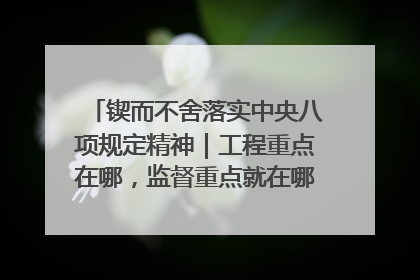 锲而不舍落实中央八项规定精神｜工程重点在哪，监督重点就在哪——广西深化政治监督护航平陆运河建设