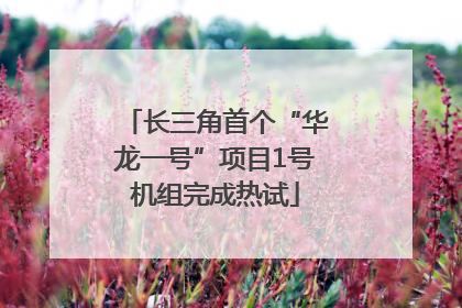 长三角首个“华龙一号”项目1号机组完成热试