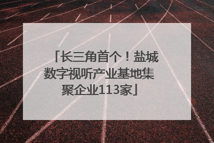 长三角首个！盐城数字视听产业基地集聚企业113家