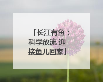 长江有鱼：科学放流 迎接鱼儿回家