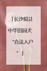 长沙拟让中华田园犬“合法入户”