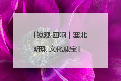 镜观·回响｜塞北明珠 文化瑰宝