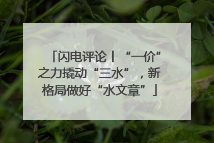闪电评论丨“一价”之力撬动“三水”，新格局做好“水文章”