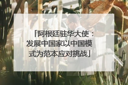 阿根廷驻华大使：发展中国家以中国模式为范本应对挑战