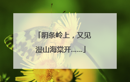 阴条岭上，又见漫山海棠开……