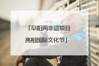 阜阳两非遗项目亮相国际文化节