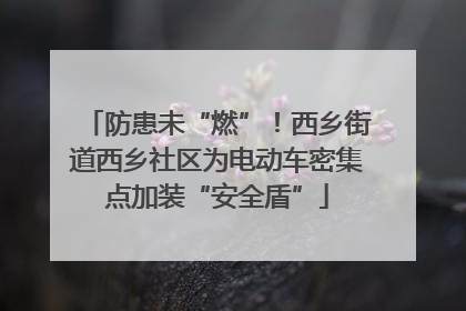 防患未“燃”！西乡街道西乡社区为电动车密集点加装“安全盾”