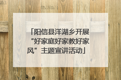 阳信县洋湖乡开展“好家庭好家教好家风”主题宣讲活动
