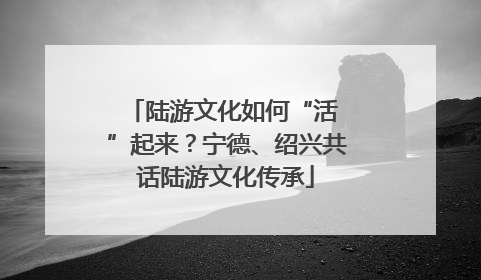 陆游文化如何“活 ”起来？宁德、绍兴共话陆游文化传承