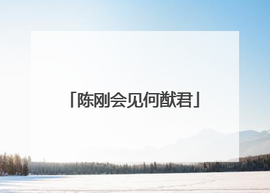 陈刚会见何猷君
