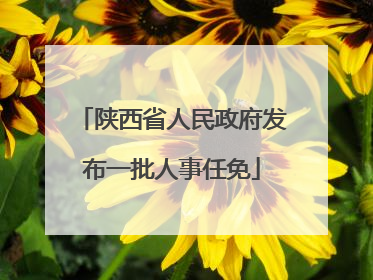 陕西省人民政府发布一批人事任免