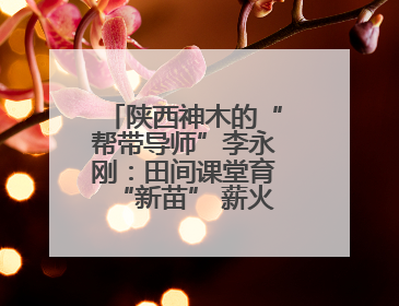 陕西神木的“帮带导师”李永刚：田间课堂育“新苗” 薪火相传助振兴