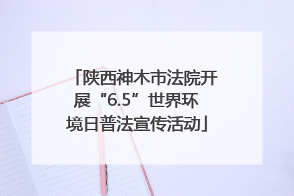 陕西神木市法院开展“6.5”世界环境日普法宣传活动