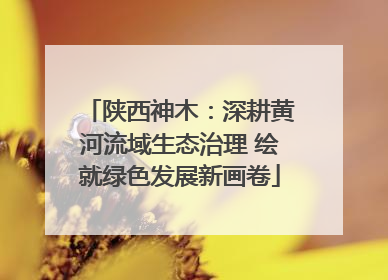 陕西神木：深耕黄河流域生态治理 绘就绿色发展新画卷