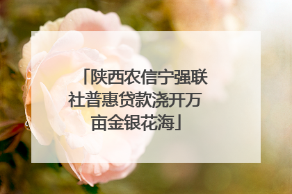 陕西农信宁强联社普惠贷款浇开万亩金银花海