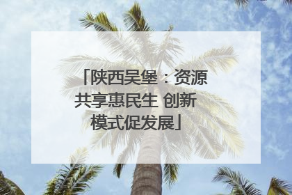 陕西吴堡：资源共享惠民生 创新模式促发展