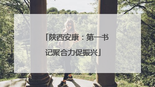 陕西安康：第一书记聚合力促振兴