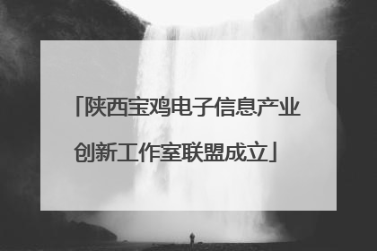 陕西宝鸡电子信息产业创新工作室联盟成立