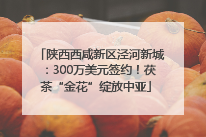 陕西西咸新区泾河新城：300万美元签约！茯茶“金花”绽放中亚