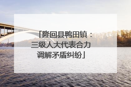 隆回县鸭田镇：三级人大代表合力调解矛盾纠纷