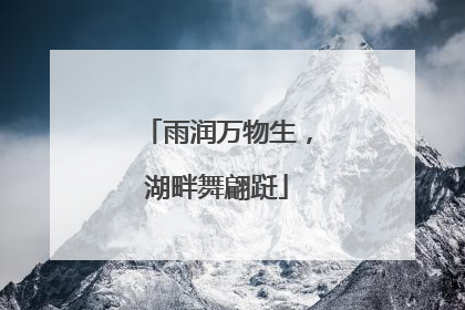 雨润万物生，湖畔舞翩跹