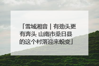雪域湘音｜有劲头更有奔头 山南市桑日县的这个村落迎来蜕变