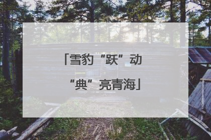 雪豹“跃”动 “典”亮青海