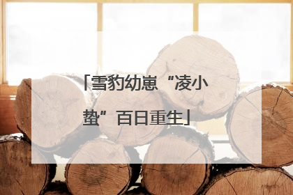 雪豹幼崽“凌小蛰”百日重生
