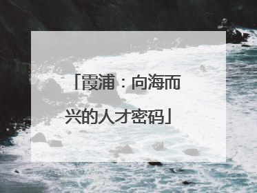 霞浦：向海而兴的人才密码