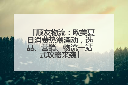 顺友物流：欧美夏日消费热潮涌动，选品、营销、物流一站式攻略来袭