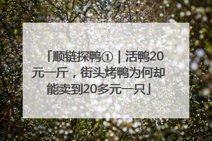 顺链探鸭①｜活鸭20元一斤，街头烤鸭为何却能卖到20多元一只