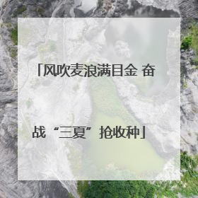 风吹麦浪满目金 奋战“三夏”抢收种