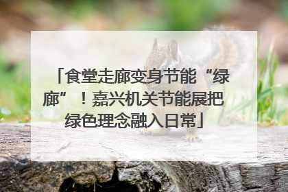 食堂走廊变身节能“绿廊”！嘉兴机关节能展把绿色理念融入日常