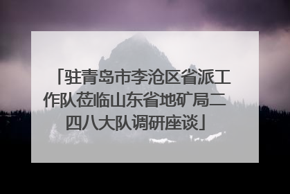 驻青岛市李沧区省派工作队莅临山东省地矿局二四八大队调研座谈