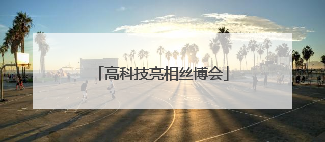 高科技亮相丝博会