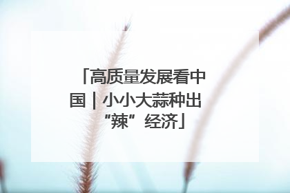 高质量发展看中国｜小小大蒜种出“辣”经济
